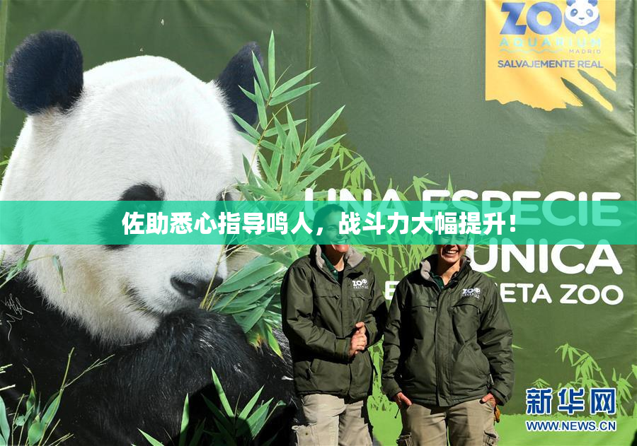 佐助悉心指导鸣人，战斗力大幅提升！