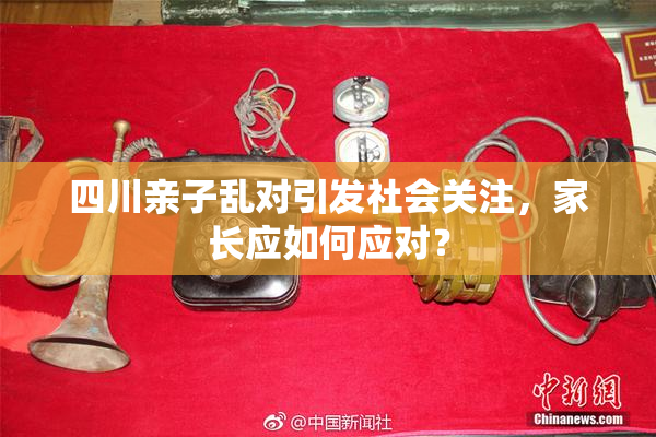 四川亲子乱对引发社会关注，家长应如何应对？