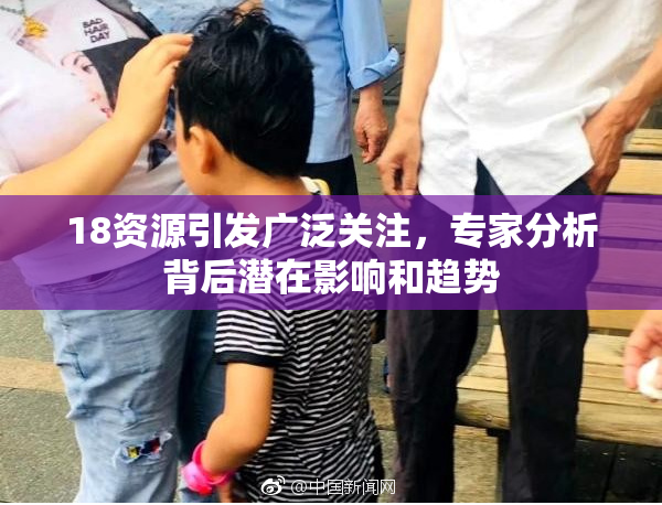 18资源引发广泛关注，专家分析背后潜在影响和趋势