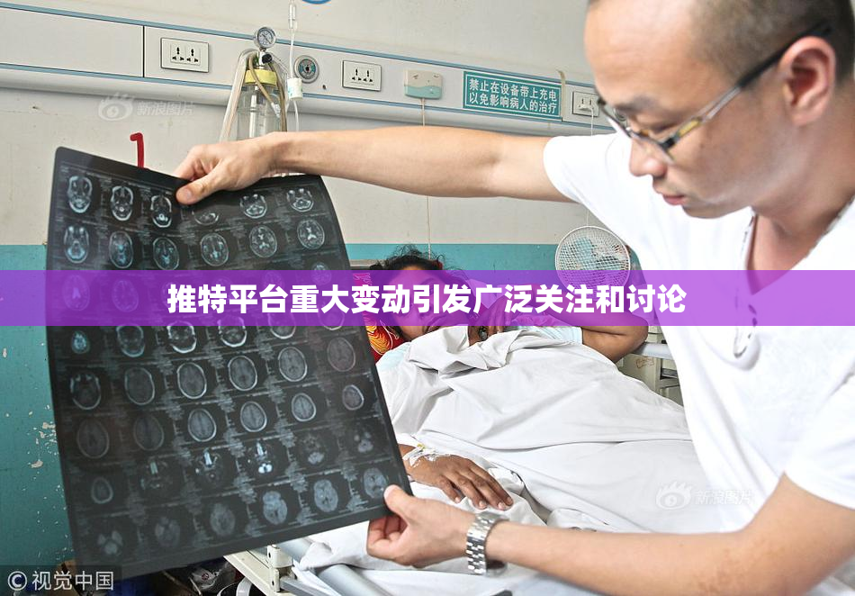 推特平台重大变动引发广泛关注和讨论