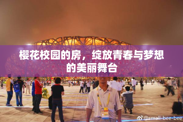 樱花校园的房，绽放青春与梦想的美丽舞台