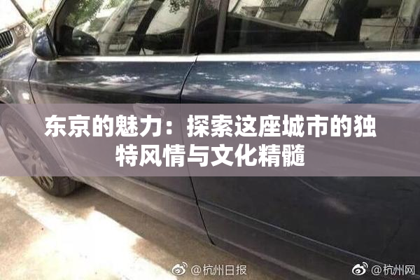 东京的魅力：探索这座城市的独特风情与文化精髓
