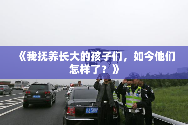 《我抚养长大的孩子们，如今他们怎样了？》