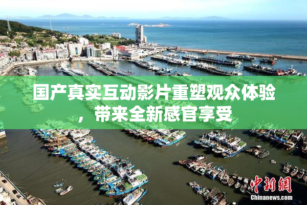 国产真实互动影片重塑观众体验，带来全新感官享受