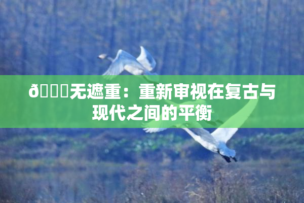 🔞无遮重：重新审视在复古与现代之间的平衡