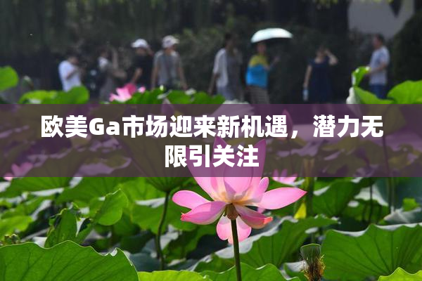 欧美Ga市场迎来新机遇，潜力无限引关注