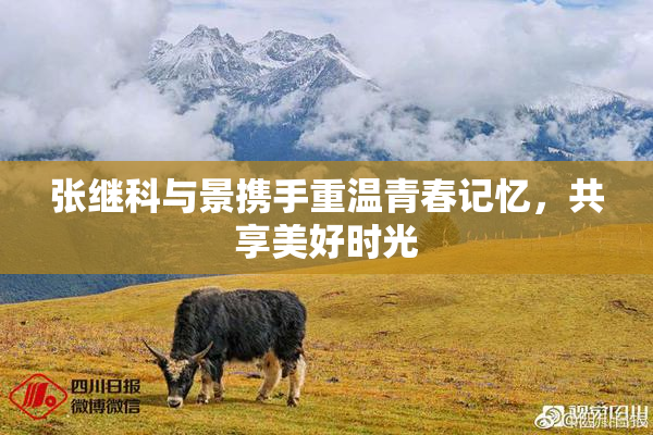 张继科与景携手重温青春记忆，共享美好时光