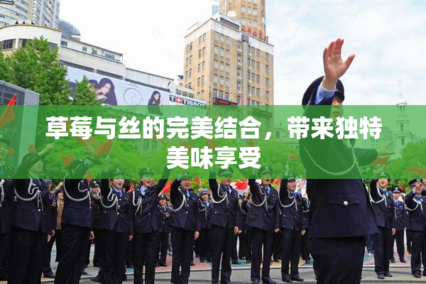 草莓与丝的完美结合，带来独特美味享受