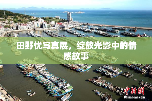 田野忧写真展，绽放光影中的情感故事