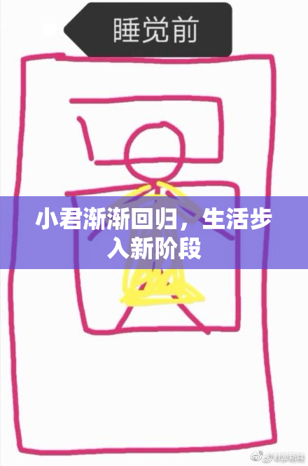 小君渐渐回归，生活步入新阶段