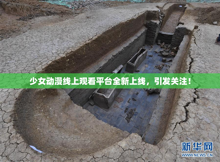 少女动漫线上观看平台全新上线，引发关注！