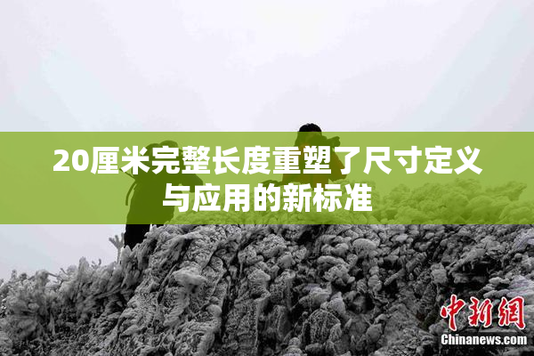 20厘米完整长度重塑了尺寸定义与应用的新标准