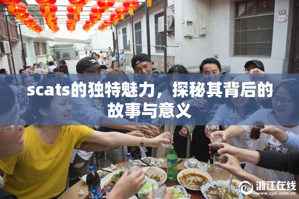 scats的独特魅力，探秘其背后的故事与意义