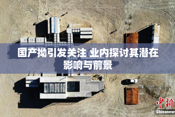国产拗引发关注 业内探讨其潜在影响与前景