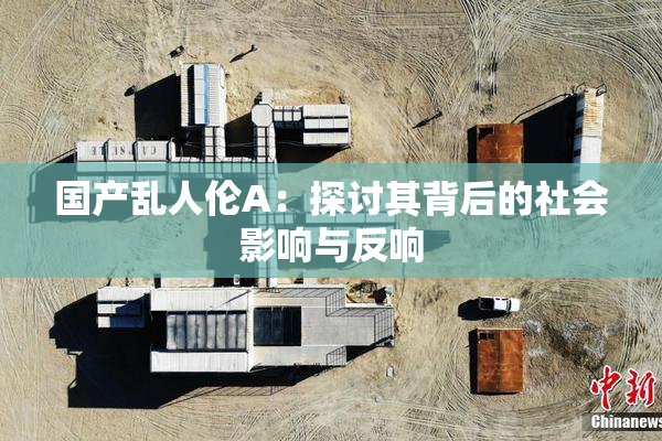 国产乱人伦A：探讨其背后的社会影响与反响