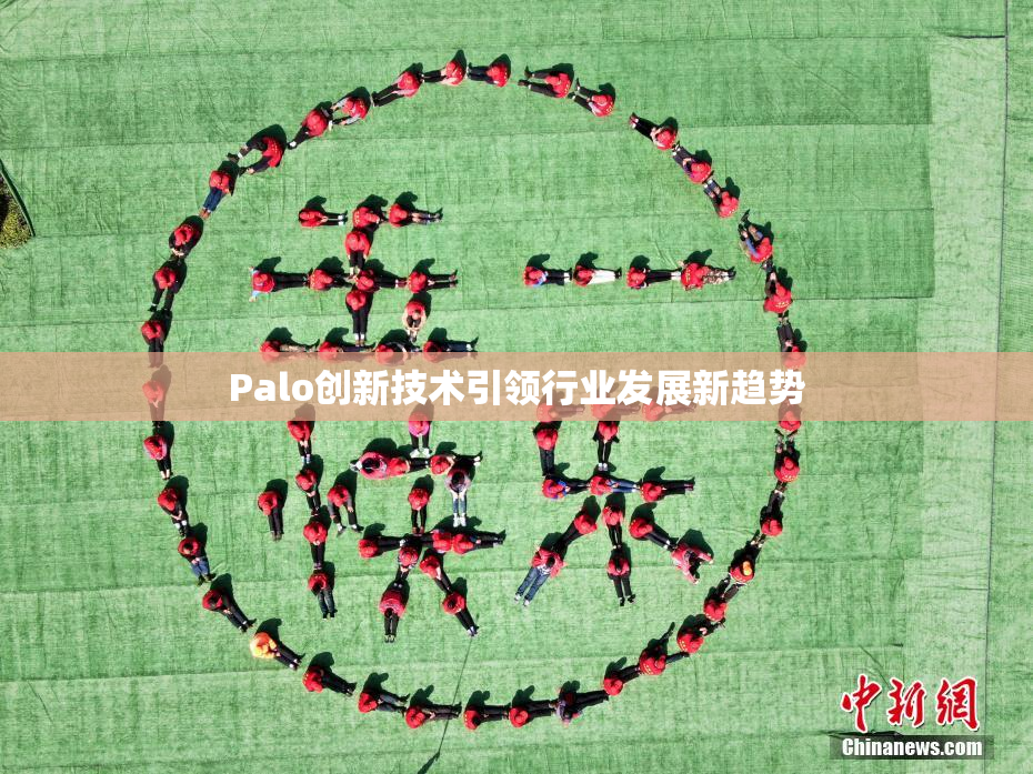 Palo创新技术引领行业发展新趋势