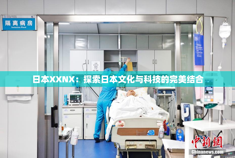 日本XXNX：探索日本文化与科技的完美结合