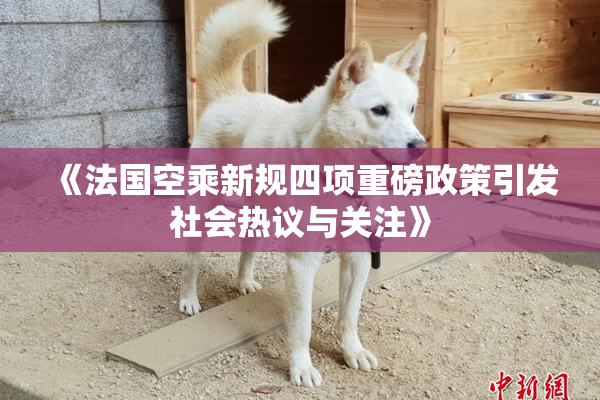 《法国空乘新规四项重磅政策引发社会热议与关注》