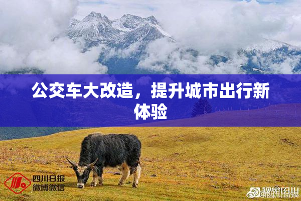 公交车大改造，提升城市出行新体验