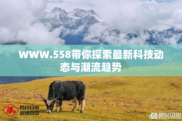 WWW.558带你探索最新科技动态与潮流趋势