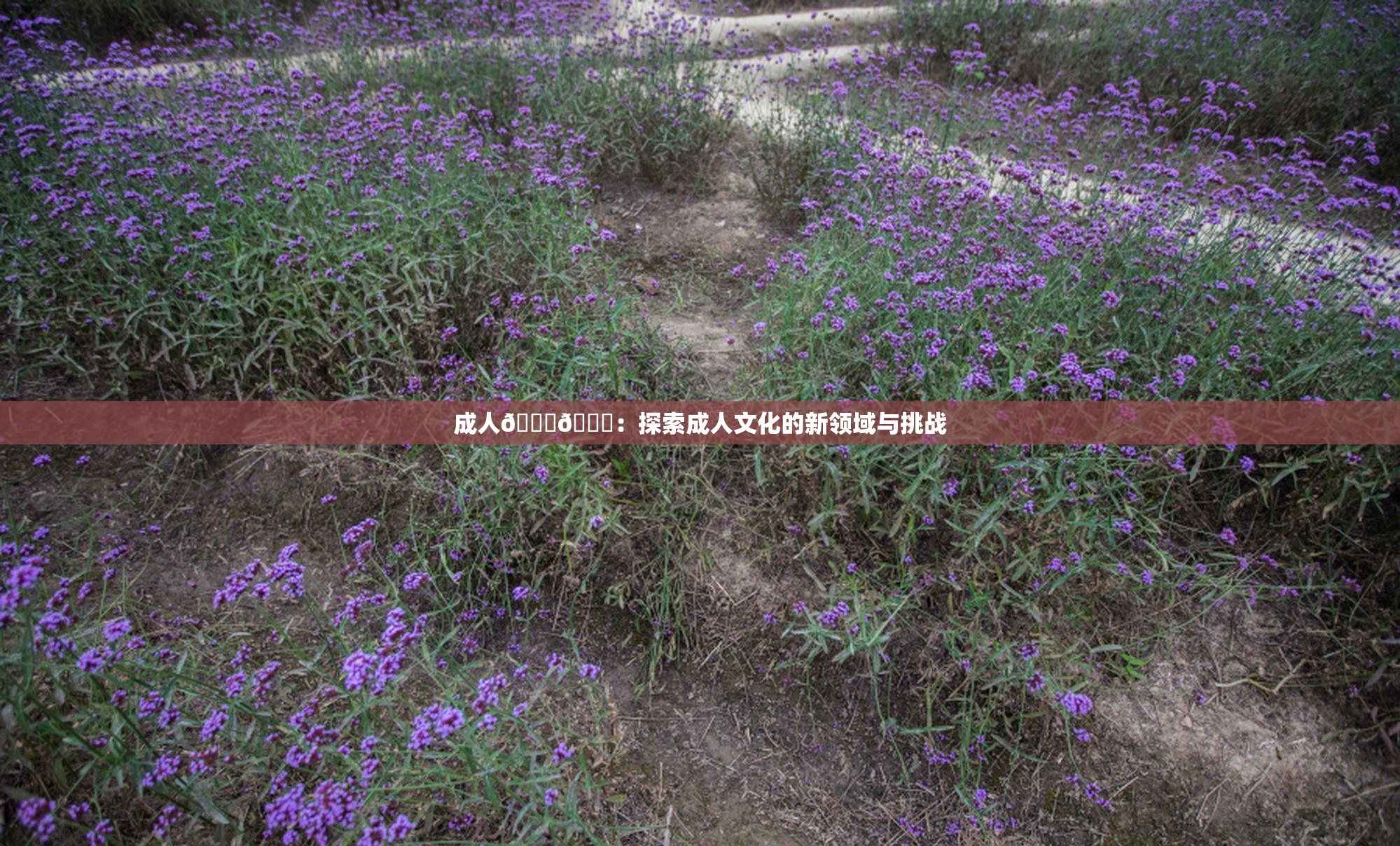 成人🍆🍑：探索成人文化的新领域与挑战