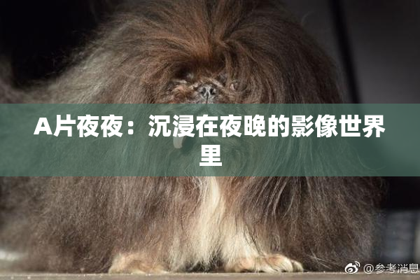 A片夜夜：沉浸在夜晚的影像世界里