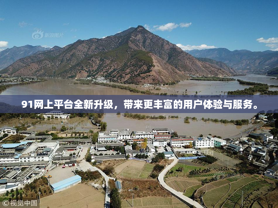 91网上平台全新升级，带来更丰富的用户体验与服务。