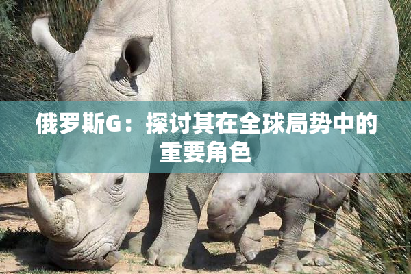 俄罗斯G：探讨其在全球局势中的重要角色