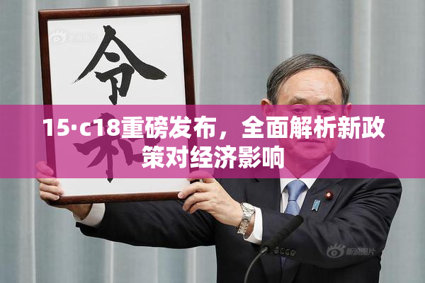 15·c18重磅发布，全面解析新政策对经济影响