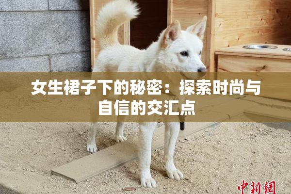 女生裙子下的秘密：探索时尚与自信的交汇点