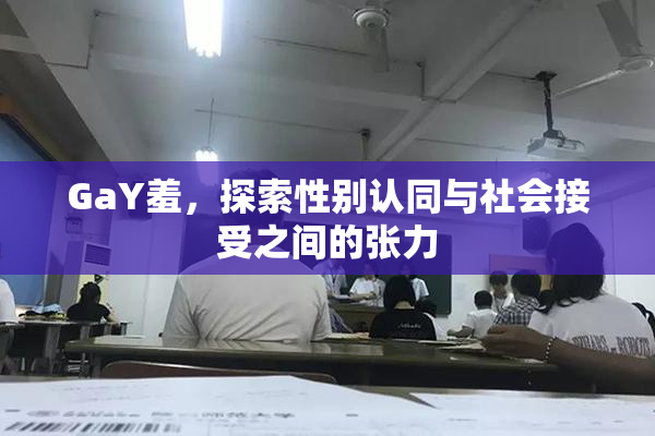 GaY羞，探索性别认同与社会接受之间的张力