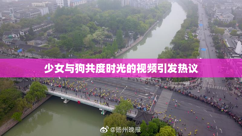 少女与狗共度时光的视频引发热议
