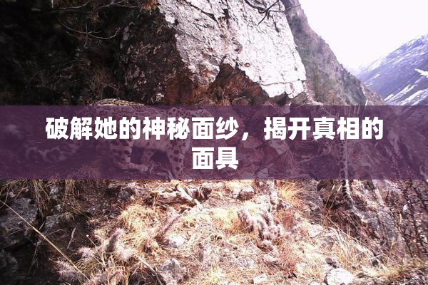 破解她的神秘面纱，揭开真相的面具