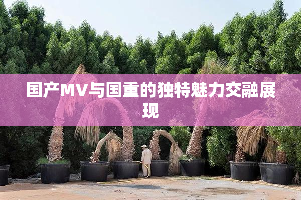 国产MV与国重的独特魅力交融展现