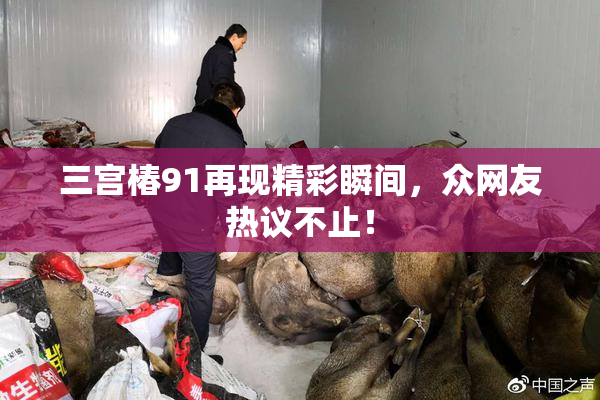 三宫椿91再现精彩瞬间，众网友热议不止！