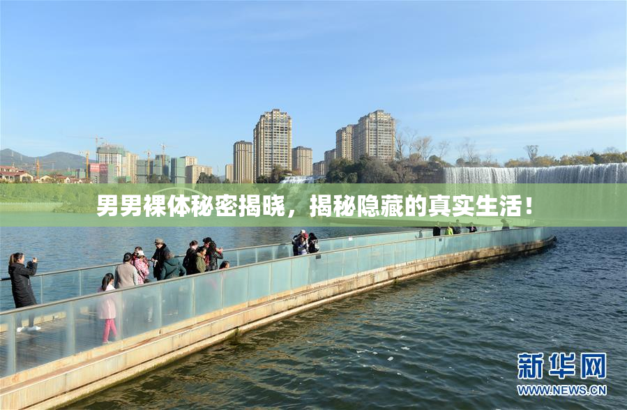 男男裸体秘密揭晓，揭秘隐藏的真实生活！