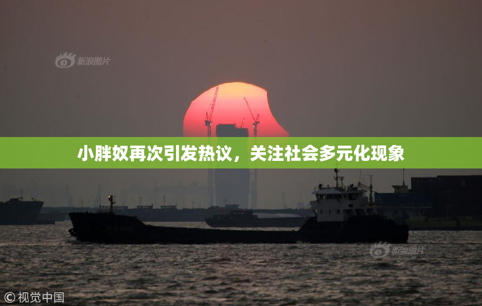 小胖奴再次引发热议，关注社会多元化现象