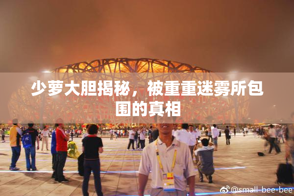 少萝大胆揭秘，被重重迷雾所包围的真相
