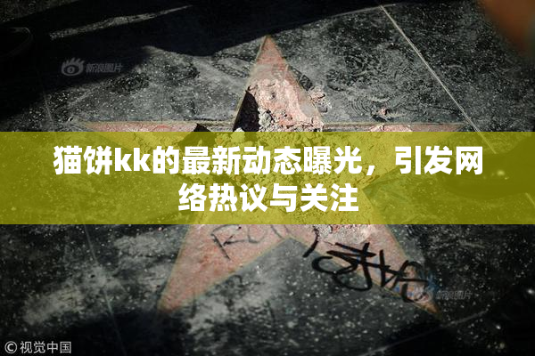 猫饼kk的最新动态曝光，引发网络热议与关注