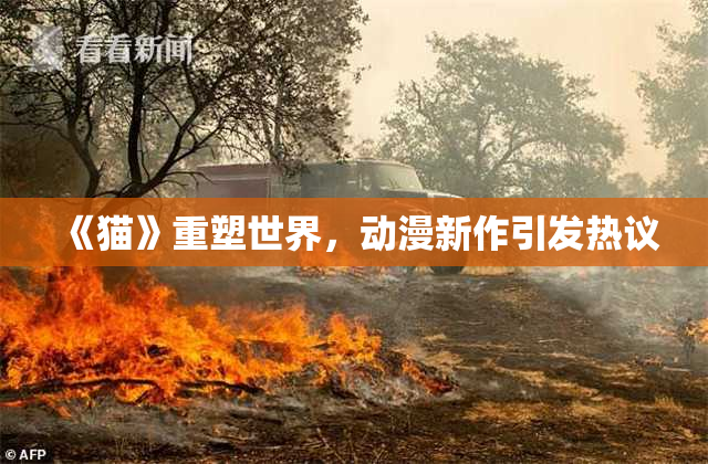 《猫》重塑世界，动漫新作引发热议
