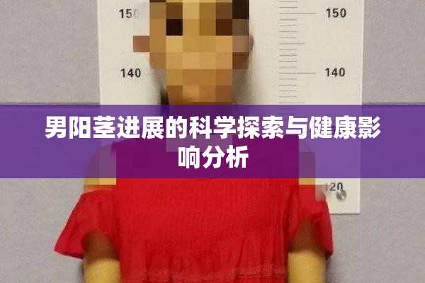 男阳茎进展的科学探索与健康影响分析
