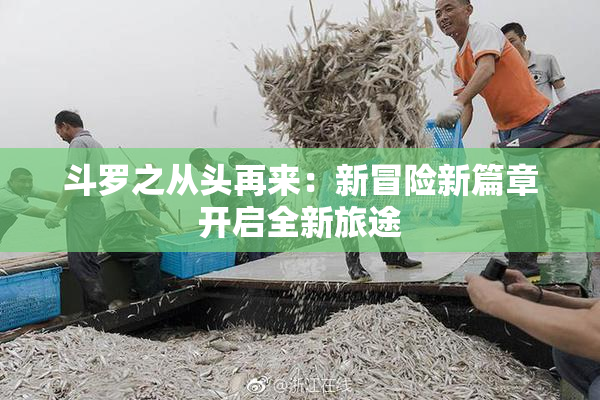 斗罗之从头再来：新冒险新篇章开启全新旅途