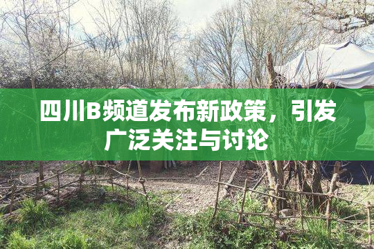 四川B频道发布新政策，引发广泛关注与讨论