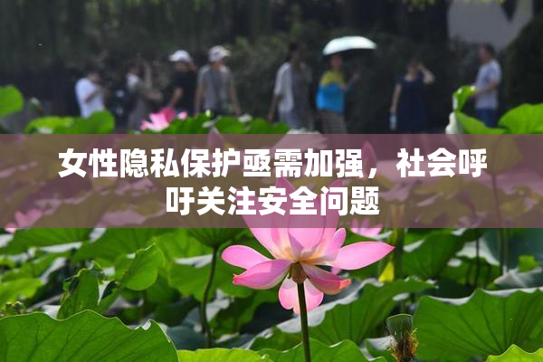 女性隐私保护亟需加强，社会呼吁关注安全问题