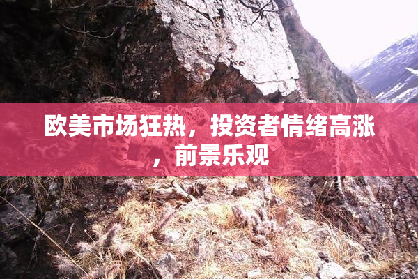 欧美市场狂热，投资者情绪高涨，前景乐观