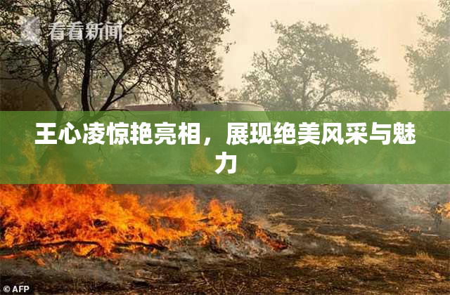 王心凌惊艳亮相，展现绝美风采与魅力