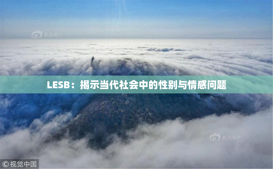 LESB：揭示当代社会中的性别与情感问题