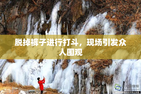 脱掉裤子进行打斗，现场引发众人围观