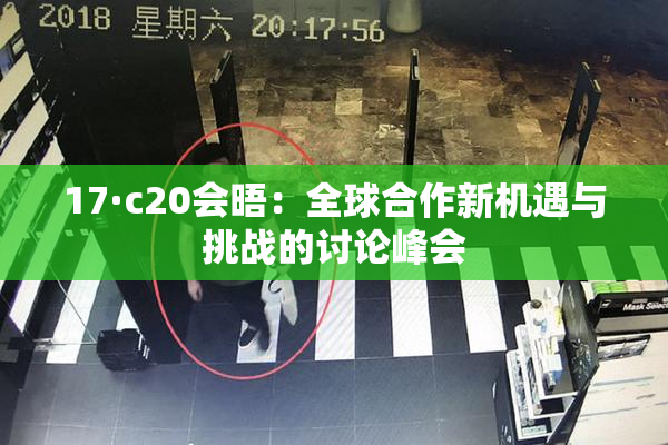 17·c20会晤：全球合作新机遇与挑战的讨论峰会