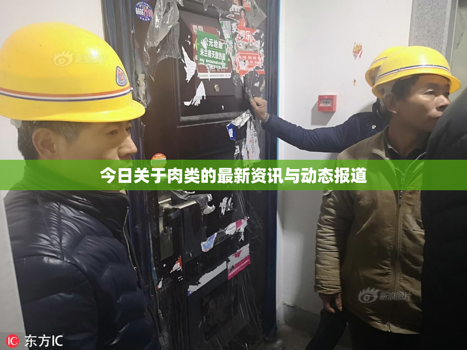 今日关于肉类的最新资讯与动态报道